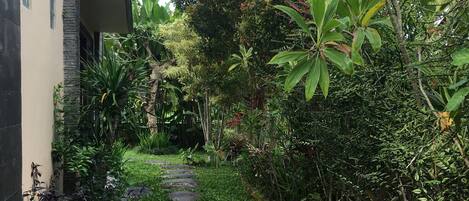 Un sendero en un jardín con piedras que guían hacia un edificio.