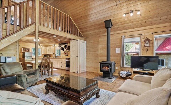 Smart TV, fireplace, DVD player, books