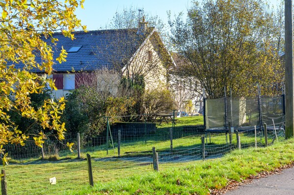 A rural setting with a house, a fenced area, and a clear sky.