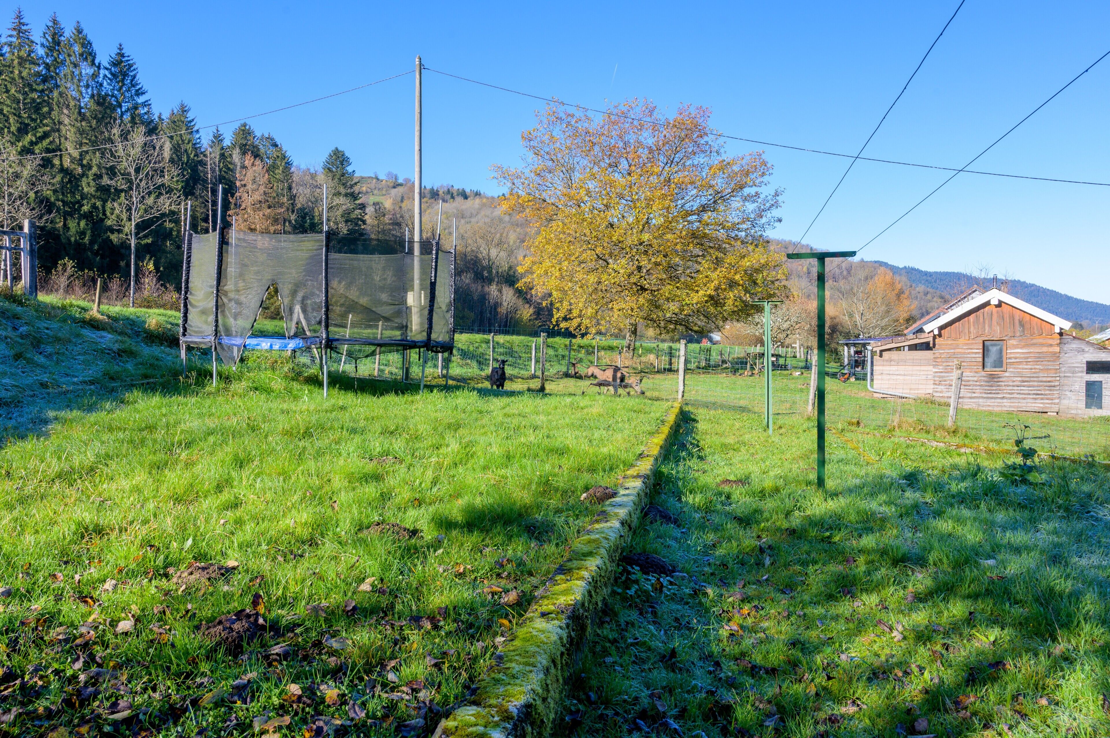 Áreas de la propiedad