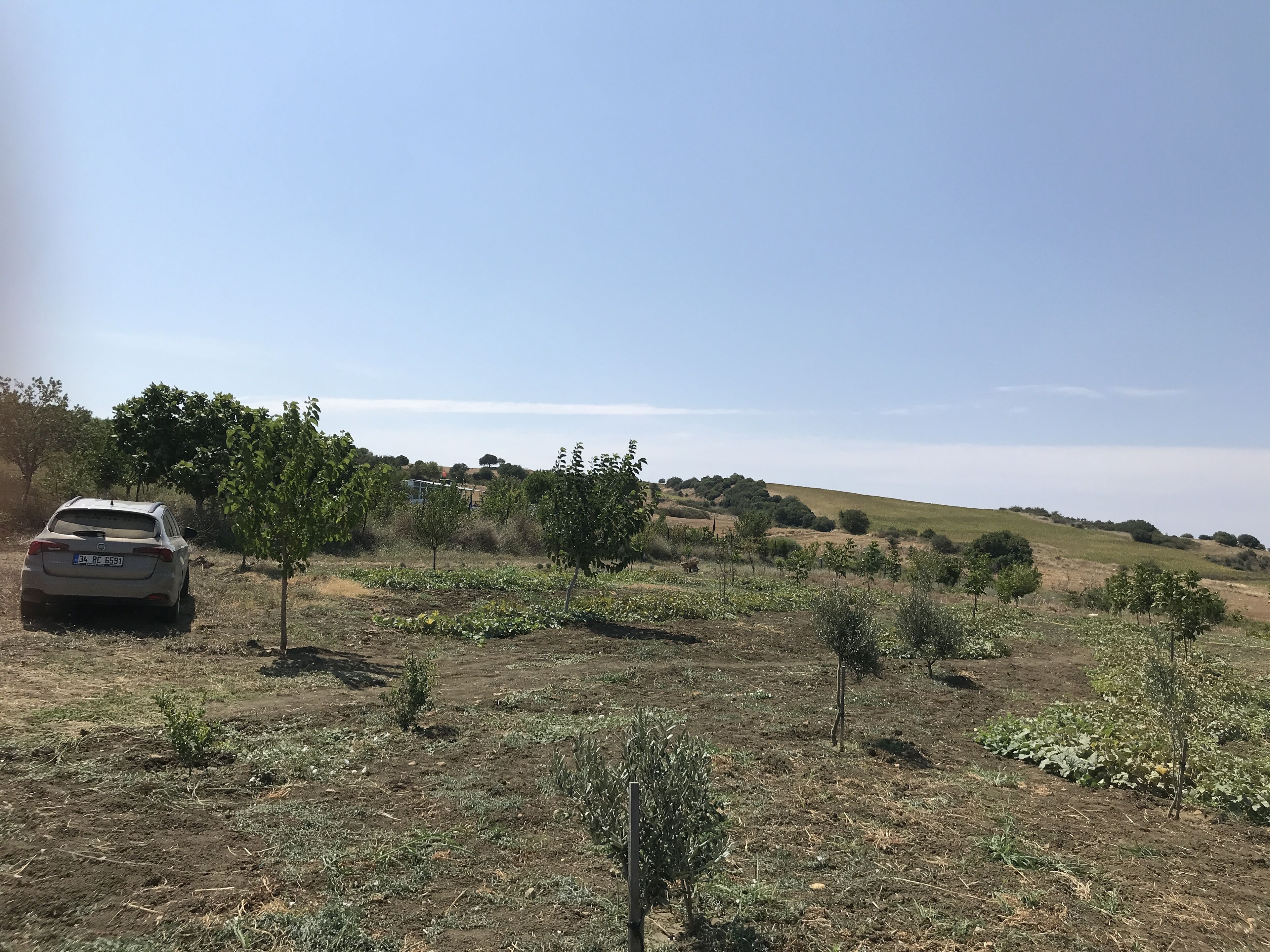 Une voiture est garée dans un champ à la campagne, où la végétation est clairsemée, et un paysage vallonné se dessine à l’arrière-plan.