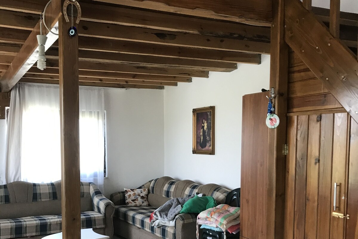 A wooden interior with a sofa, a small table, and a cabinet.