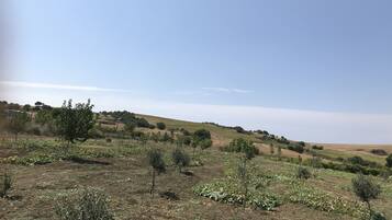 Un paisaje rural con colinas ondulantes, vegetación escasa y cielo despejado.