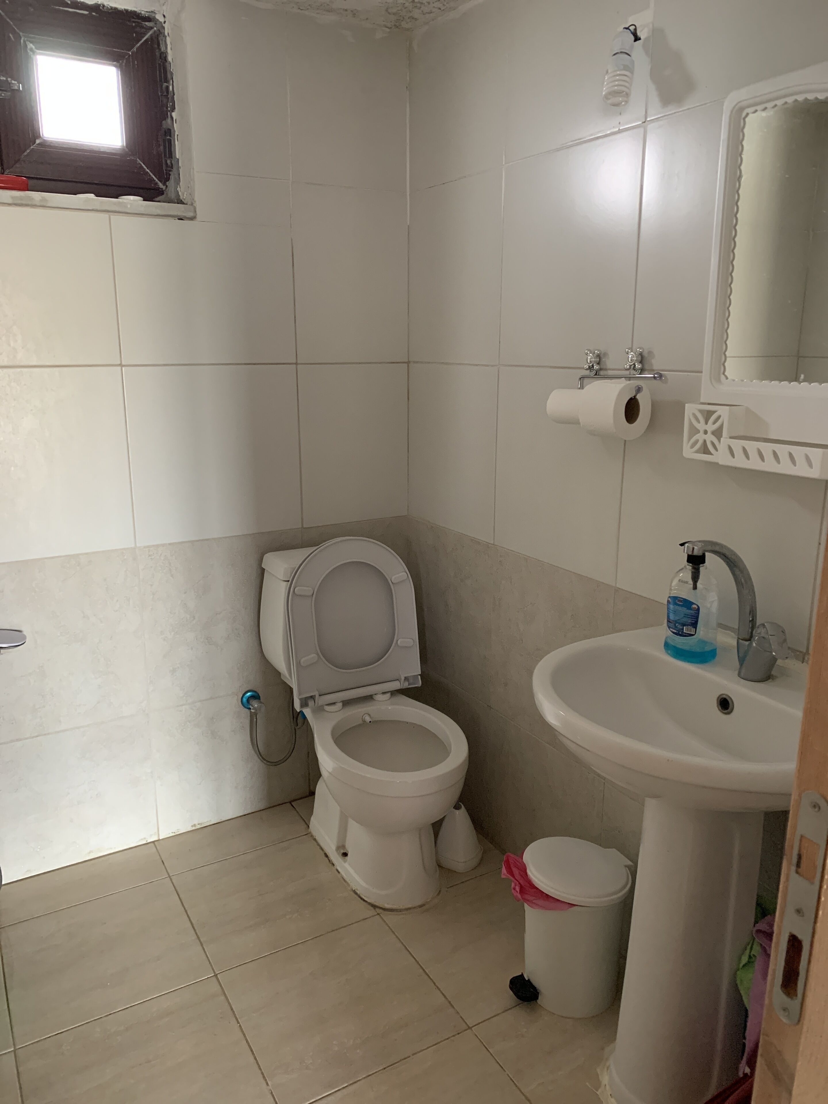 Un baño con inodoro, lavabo y espejo.