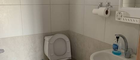 Un baño con inodoro, lavabo y espejo.