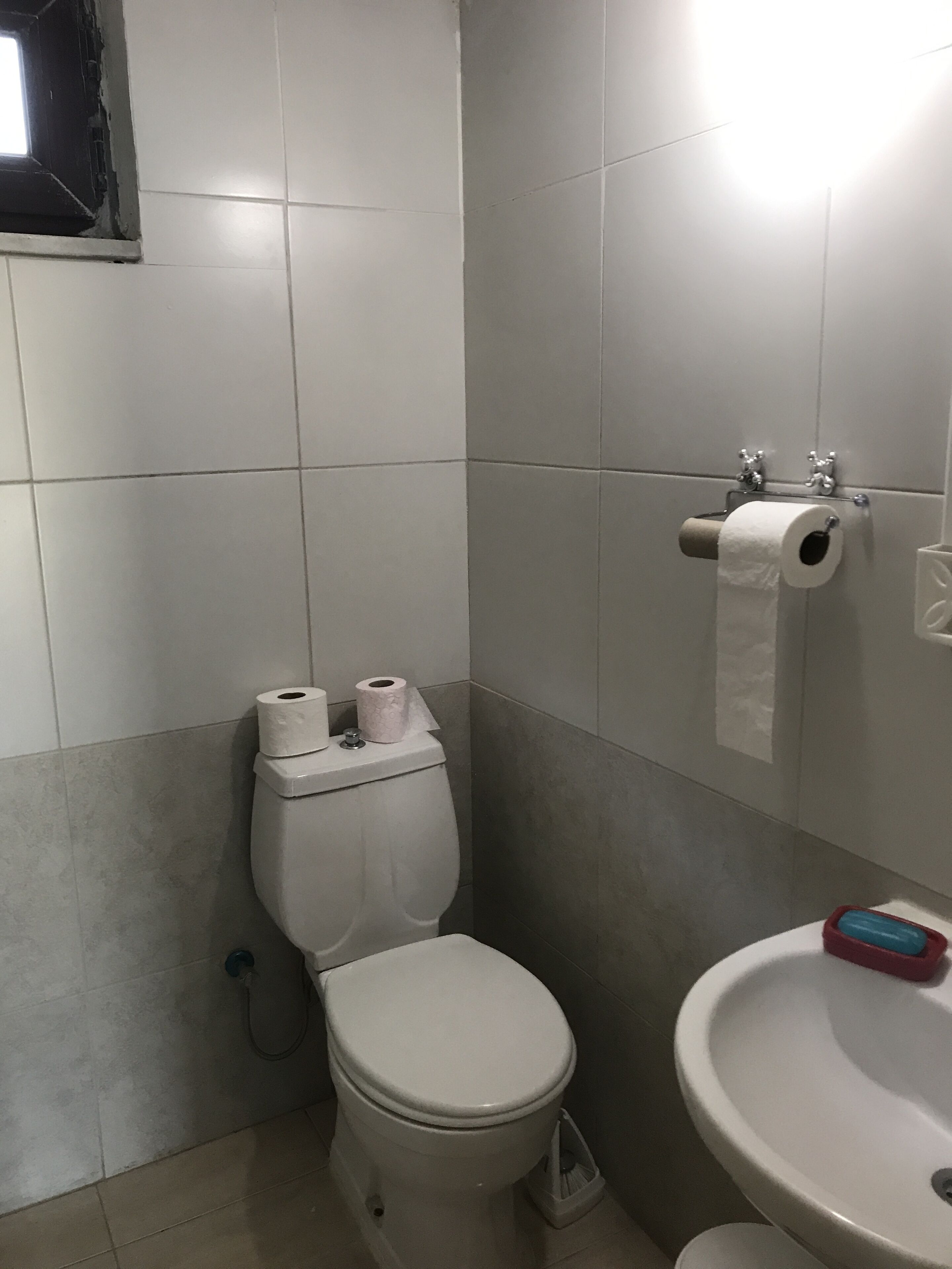 Un baño con inodoro, lavabo y soporte para papel higiénico.