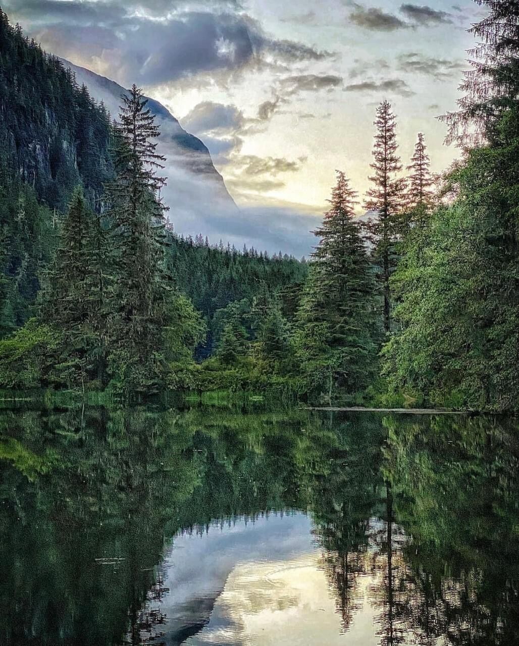 A tranquil forest lake with dense trees and a mountain backdrop.