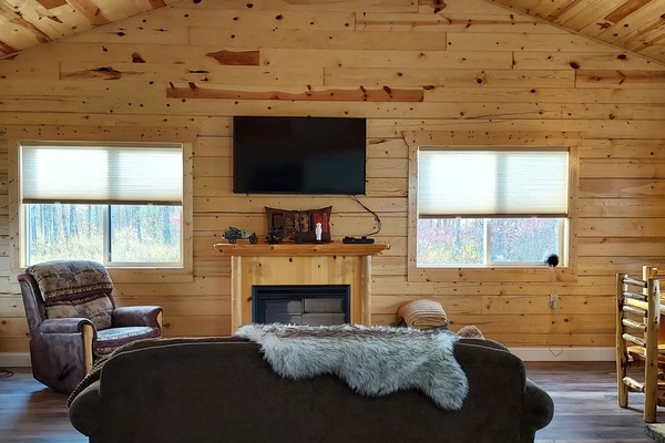 Smart TV, chimenea, reproductor de DVD