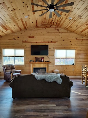 Smart TV, chimenea y reproductor de DVD