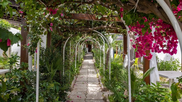 Un sendero de piedra bordeado por abundante follaje y flores rosadas, que conduce a una zona cubierta con columnas blancas.