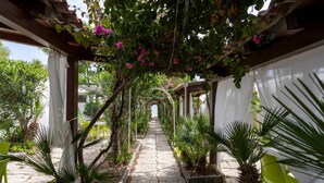 Un sendero cubierto con plantas y sillas que conduce a un edificio.