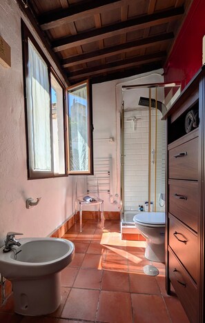 Shower, hair dryer, towels