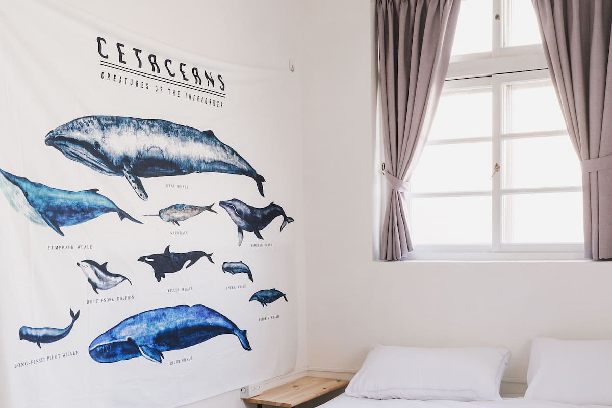 A bedroom with a bed, a window with curtains, and a wall tapestry of whales.