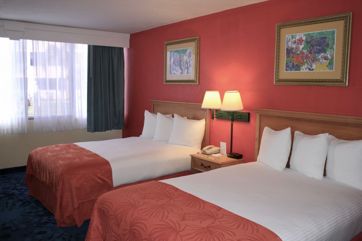 Looking for Perfect Spot for Your Next Vacation? Gorgeous Room, Fantastic View