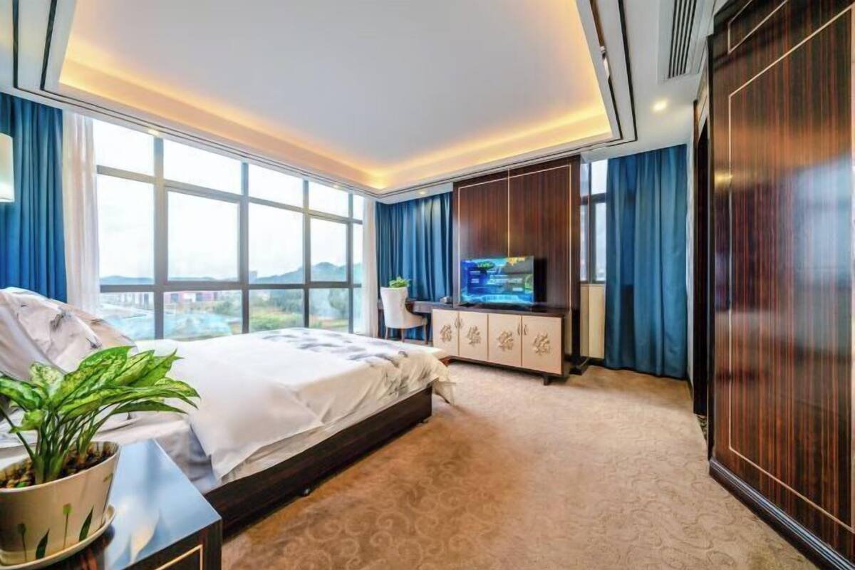 A hotel room with a bed, a television, a cabinet, a potted plant, and large windows.