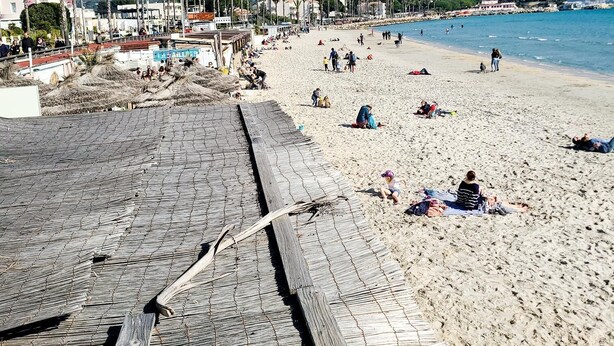A beach with a wooden boardwalk, palm trees, and a clear blue sky. - Appartement Dans une Résidence ART Deco!! au Bord de la Plage (La Ciotat)