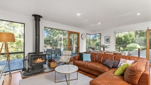 Télévision, cheminée