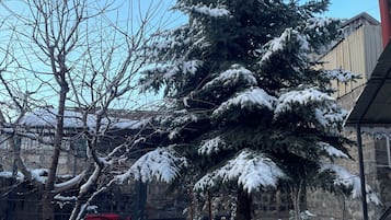 Exclusive Apartment | Garden view