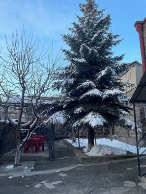 Exclusive Apartment | Garden view - Ankyun (Gyumri)