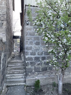 A narrow stone staircase leading up to a door, surrounded by a stone wall and a flowering tree. - Ankyun (Gyumri)