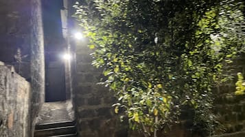 Fachada del alojamiento - Noche