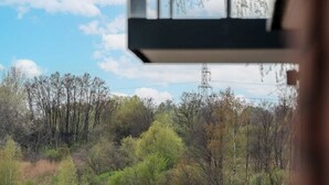 A view of a lake with trees and a power line in the background. - Sunny Apartment with Balcony | Parking | Lake View (Poznan)