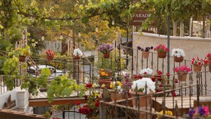 Un balcón con plantas en macetas y un cartel que dice 'PARADISE'.