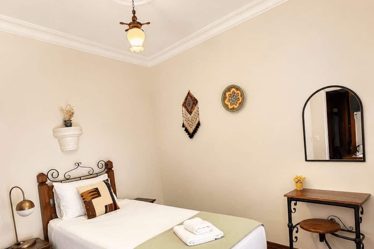 Basic Single Room | Minibar, blackout drapes, iron/ironing board (on request), WiFi (free)