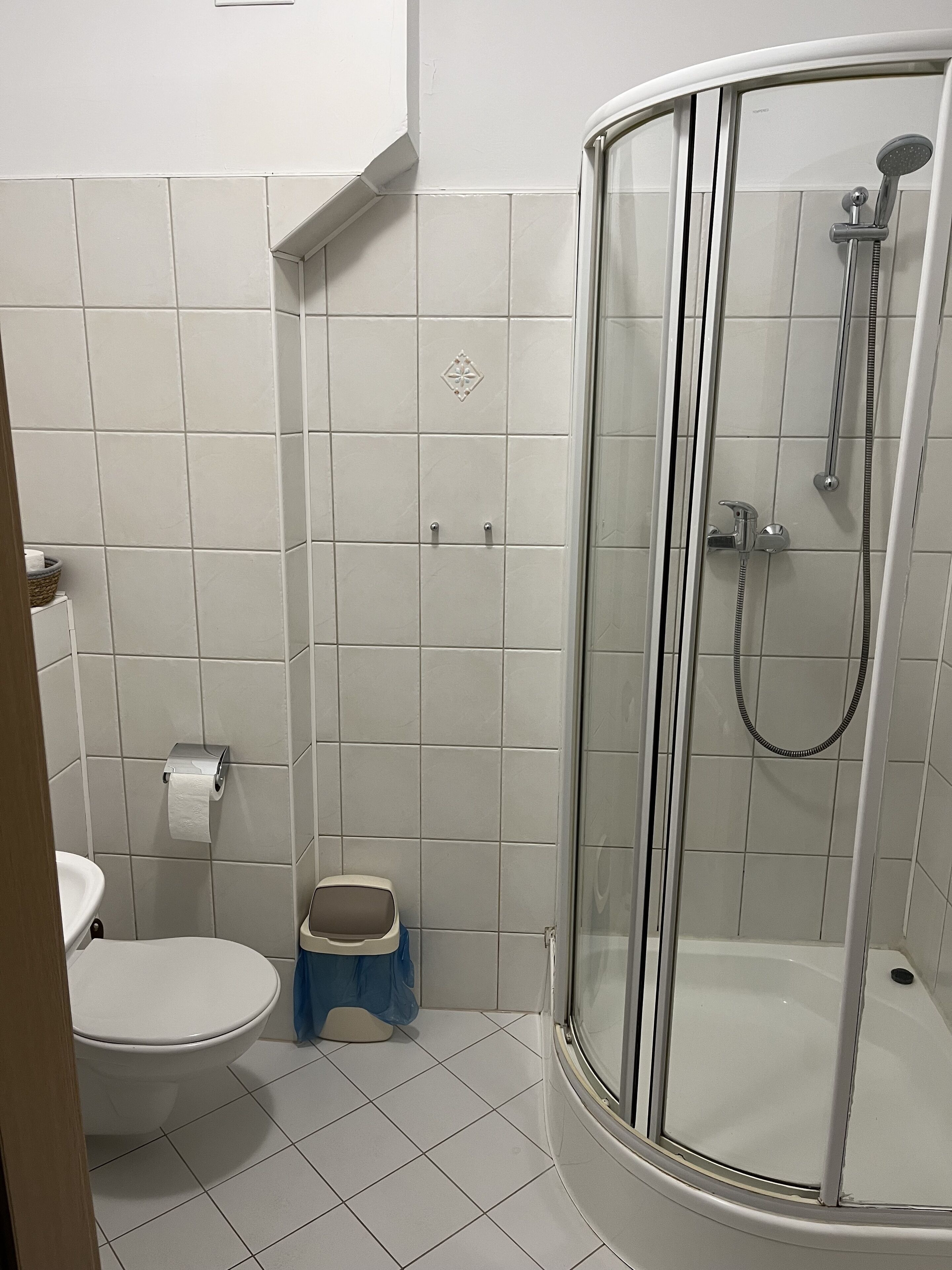 Baño con inodoro, cabina de ducha y cubo de basura.