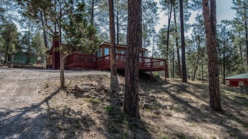 Studio (2 Bedrooms) | Fasilitas properti