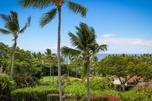 Property grounds - Aloha Condos, Keauhou Resort, Condo 108, Ocean View, AC (Kailua Kona)