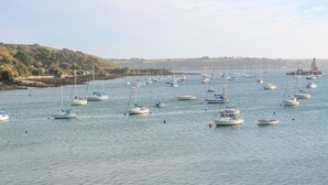 Una marina con numerosos veleros amarrados.
