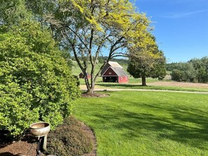 Property grounds - Barn Owl Hill - Historic Farmhouse Vineyard Views (Rickreall)