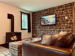 Smart TV, fireplace, books, stereo - Eclectic & Forested Cabin w/ Firepit & Beach Access Near Acadia Schoodic (Gouldsboro)