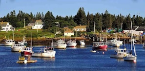 A harbor with multiple boats docked, surrounded by houses and greenery. - Eclectic & Forested Cabin w/ Firepit & Beach Access Near Acadia Schoodic (Gouldsboro)