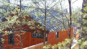 Eine Holzhütte mit blauem Dach, umgeben von Bäumen.