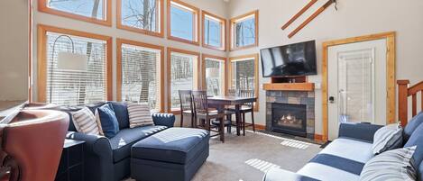 TV, fireplace, DVD player