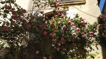 DĂ©tail de lâextĂ©rieur