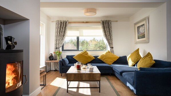 Älytelevisio, takka, kirjoja, stereot