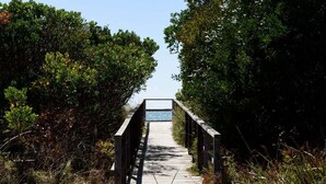 Une promenade en bois menant à un plan d’eau, entourée d’une végétation luxuriante.