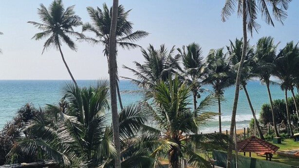 A beach with palm trees and a clear view of the ocean. - Dhammika Beach Palace (Wadduwa)