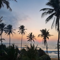Comfort Triple Room, Ocean View, Beachside | Pemandangan dari bilik