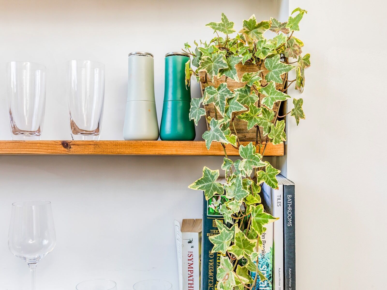 A shelf with clear glasses, a teal container, and a potted plant with variegated leaves.