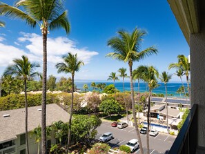 Property grounds - Ocean View Condo in the Heart of Kihei! (Kihei)