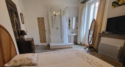 Appartement spacieux et lumineux en plein centre ville