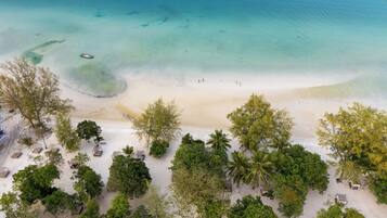 An aerial view of a beach with clear turquoise waters, sandy shore, and scattered palm trees.