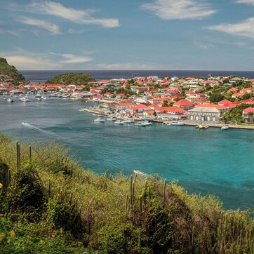 A coastal town with red-roofed buildings, a marina with boats, and lush greenery.