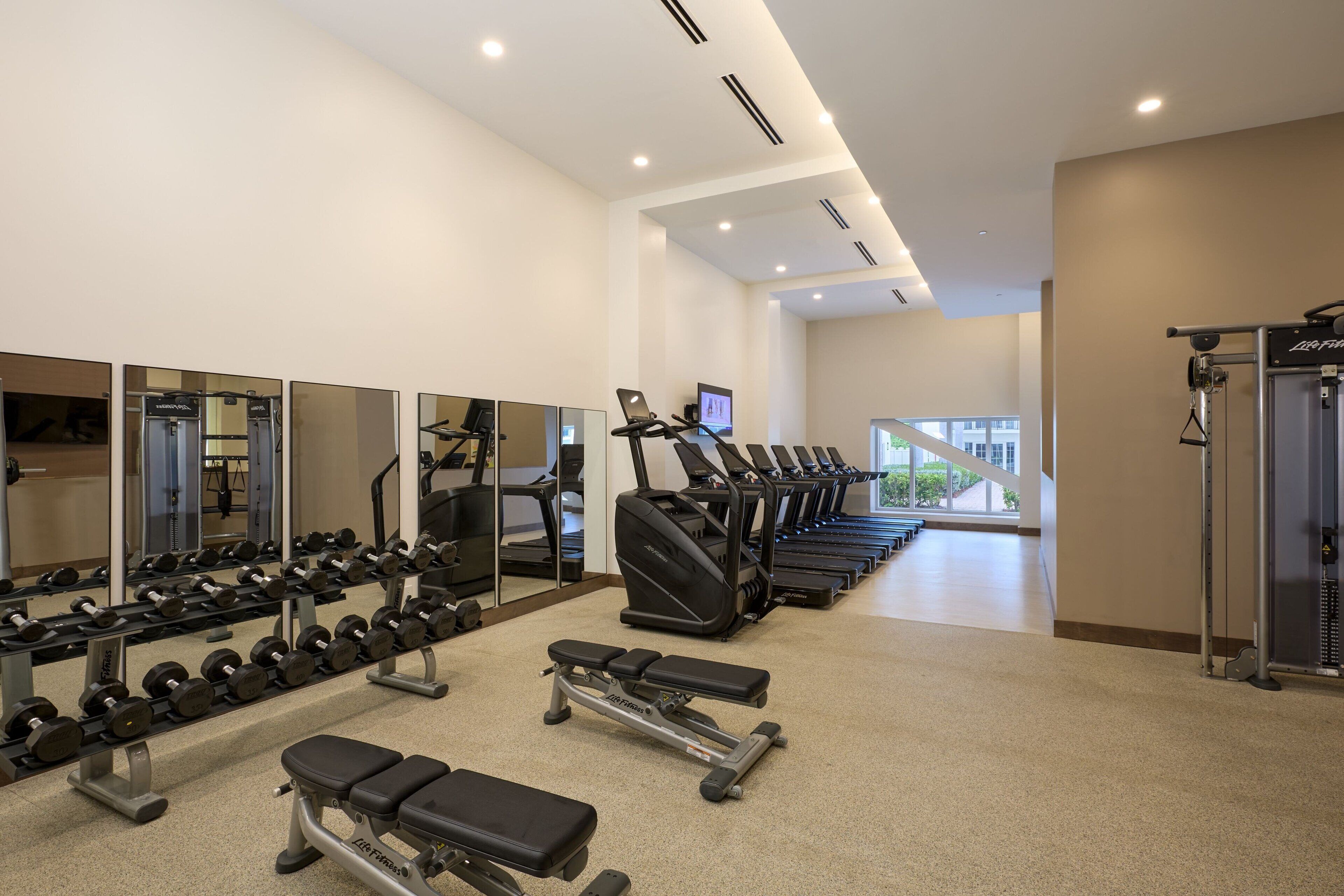 Un gimnasio moderno con cintas de correr, máquinas de pesas y pesas sueltas.
