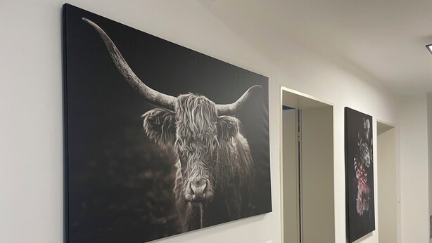 A hallway with a large bull painting on the wall and another painting on the adjacent wall. - Maja Ferienwohnung (Brück)