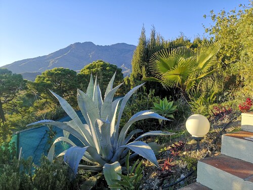 Villa Roca.exclusive.familie Penthouse TIL 4 Personer